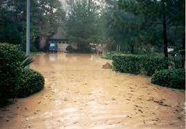 Pin On Humble Texas My Umble Hometown