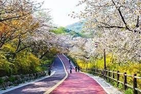 Check spelling or type a new query. Musim Di Korea Perbezaan Persediaan Setiap Musim Arba Travel