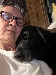 Is 5mg of melatonin safe for my dogs?