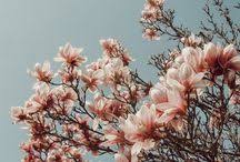 They are not only equal before. Andrea Bergeron Acb98 Profile Pinterest
