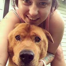 Lost dog, found in Mt. Healthy, Cincinnati