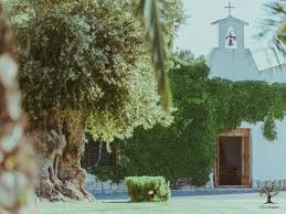 We did not find results for: Finca El Romeral Aspe Fincaelromeral Perfil Pinterest