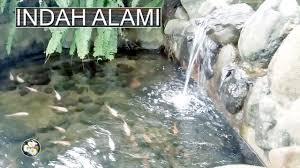 Kolam Minimalis Nan Indah Alami Kolam Kolam Ikan Alam