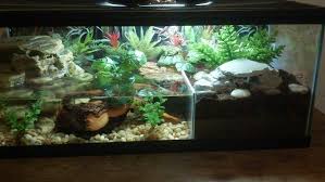 Thinking About A New Tank Please Give Advice Turtle Tank Turtle Tank Setup Turtle Habitat