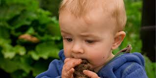 Image result for Pica