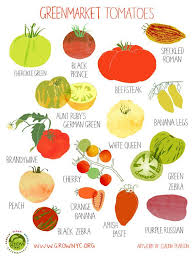 Tomato Poster Hurricane Irene Fundraiser By Claudiagpearson 25 00 Illustrations Alimentaires Fruits Et Legumes Alimentation