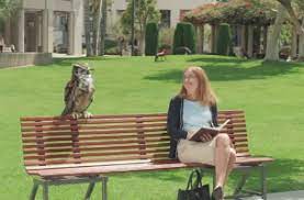Funny eyeglass commercial,tiny eyeglass retainer stops eyeglasses from slipping, keeps your eyewear in place for perfect fit The Richards Group Introduces Owl For America S Best Agencyspy