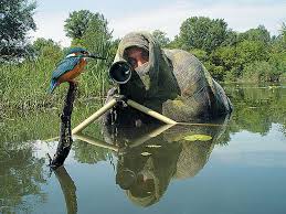 20 Pictures Showing That Nature Photographers Have The Best Jobs Ever Wildlife Photography Nature Photographs Wildlife Photography Tips