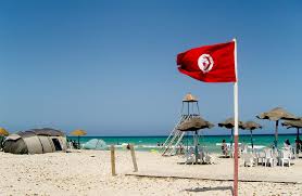 1 picture · created by sananas (js) berber flag kabyle. Drapeau Tunisien Sur La Plage De Bekalta Le Drapeau Tunisi Flickr
