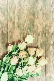 Includes fourteen 12 x 12 inch jpegs (300dpi). Vintage Rose Flowers On Rustic Backdrop Beautiful Floral Background Stock Photo Picture And Royalty Free Image Image 53238047