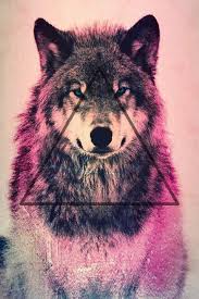 Wallpaper Para Celular Fondo De Pantalla Lobo Fondos De Pantalla Animales Fotos De Lobo