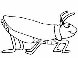 The spruce / wenjia tang take a break and have some fun with this collection of free, printable co. Drawing Grasshopper 19794 Animals Printable Coloring Pages