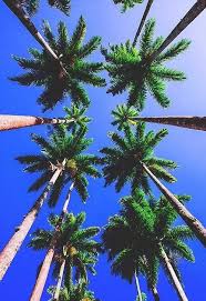 If you're in search of the best summer desktop wallpapers, you've come to the right place. Aesthetic Summer Desktop Wallpaper Tumblr Novocom Top