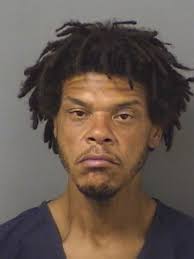 It is Felony Friday folks! And this week's winner is Dyllon James  Blanchard, who apparently thought he could outrun Haralson County deputies,  the Florida fugitive task force, and common sense — all