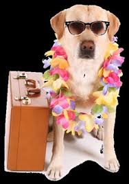 21014 Hilliard Blvd, Rocky River, OH 44116 Rocky River Senior Center Hours  Monday—Friday 8:30– 4:30 Rocky River Senior Cent