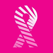 Breast cancer funding also shouldn't be criticized without knowing the history. National Breast Cancer Research Institute Bcresearchire Twitter