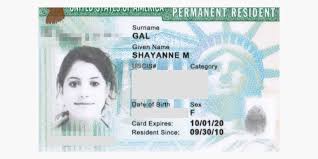 Wouldn't the system show as a 'permanent resident' for her since we got approved for the green card? My 19 Year Journey Of Immigration And Becoming A Us Citizen