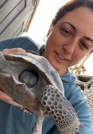 Desert Tortoise Hibernation