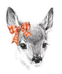 Deer animal pencil sketch drawing. Cute Deer Pencil Sketch Of Fawn Digital Art By Faenkova Elena
