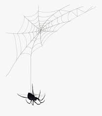 Like many spiders, the black widow spider eats other arachnids and insects that get caught in their webs. Black Widow Spider Web Free Transparent Clipart Clipartkey