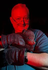 Wythe County official carries an orphaned bear cub 'like a baby' out of  fire danger