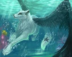 Anime Black And White Wolf With Wings Swimming White And Black Wolf Anime Wolf Animal Drawings Fantasy Wolf