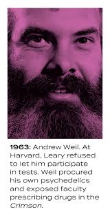 Why Psychedelics Are Some of the Most Promising Treatments for Depression,  Anxiety and Addiction