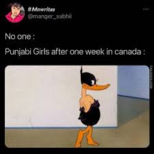 Download this image for free in hd resolution the choice download button below. Punjabi Girls After One Week In Canada Funny Indian Memes Failgags