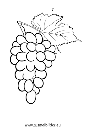 Malvorlage Weintruben Coloring And Malvorlagan