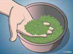 Moos Anpflanzen Garten Moos Pflanzen Pflanzen