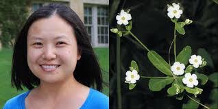 Marla Stack's Instagram, Twitter & Facebook