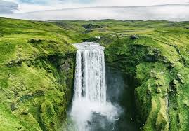 A flowing waterfall in a lush forest