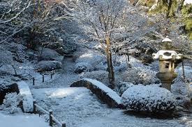 If eligible, you could be due a payout of £25 every time the average temperature. Dwp Cold Weather Payment The Nen North Edinburgh News