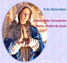Disfruta las predicciones que mi horóscopo diario tiene para tu signo leo en el amor y el dinero. 8 De Diciembre Dia De La Inmaculada Concepcion Princess Zelda Fictional Characters Dear God