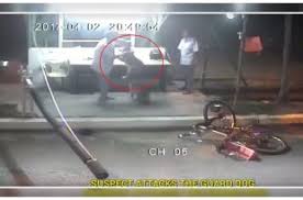 Killings have been spotted in other parts of malaysia as well. Malaysian Dogs Deserve Better Dogexpress