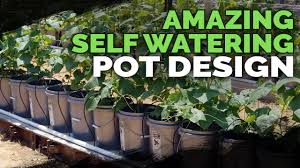 Its also way cheaper to create your own. Best Self Watering Pot Design I Ve Seen Yet Youtube