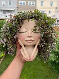 Bad Hair Perm in Degrassi