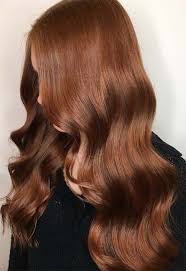 This hair color is full of life and vibrant and suits her fair. 55 Auburn Hair Color Shades To Burn For Auburn Hair Dye Tips Glowsly