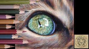 Limepeel, blue violet, 70% french grey, jade green, terra cotta, sienna brown, cloud blue and true blue are used to develop the iris. How To Draw A Cat Eye In Colored Pencil Youtube