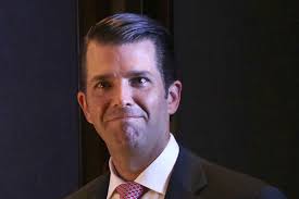 Natalie Stefano (@natalienstefano)