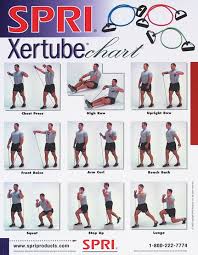 8 Bodybuilding Exercises Chart With Pictures Pdf Pictures