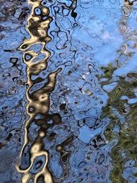 Sharon Mendelson Photography