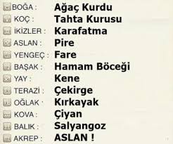 Burcunuza Gore Hangi Hayvansiniz Kizlarsoruyor