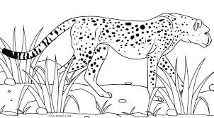 This animal coloring page features a picture of a cheetah. Printable Cheetah Coloring Pages For Kids