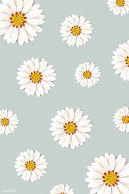 Download Premium Psd Of White Daisy Flower On Light Blue Background 1202450 Flower Phone Wallpaper Daisy Wallpaper Cute Blue Wallpaper