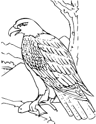 The drawings are simply done so that children can do them without the assistance of adults. Eagle Pictures To Color Coloring Home