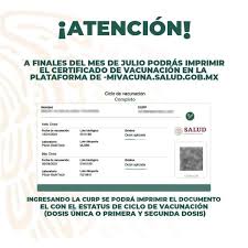 También tendrás que reservar tu cita de en el portal estatal vacunacion.jalisco.gob.mx. Certificado De Vacunacion Covid Lo Que Se Sabe Union Guanajuato