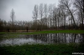 Om de klimaatdoelen te behalen wil de rijksoverheid dat het bosareaal in nederland met 10% (37000 hectare) is toegenomen in 2030. Hiking In Belgium Landschap Landscape Wandeling Wandelen Hiking Zicht Landscape Lovers Nature Natuurfotografie In 2021 Natuurfotografie Monumenten Landschap