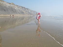 Charmouth Beach Charmouth Beach Beach Jurassic Coast