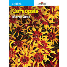We also offer quantity purchasing suggestions for your parties or parades. Burpee Coreopsis Mardi Gras 46583 The Home Depot